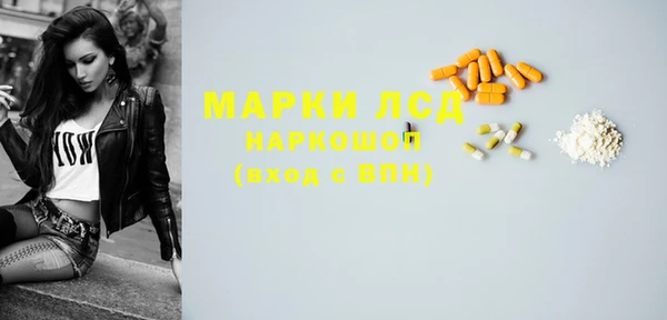 сатива Покачи