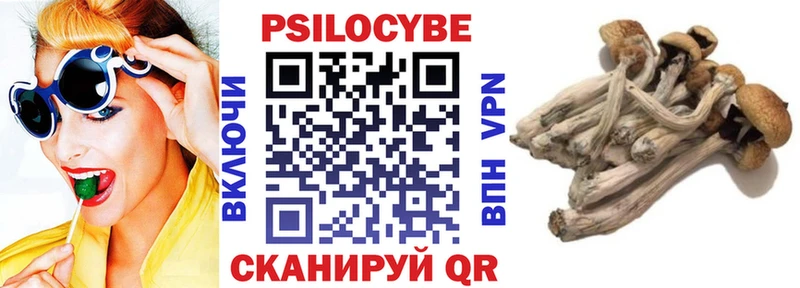 Псилоцибиновые грибы прущие грибы  маркетплейс какой сайт  Суворов  купить  